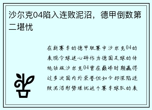 沙尔克04陷入连败泥沼，德甲倒数第二堪忧